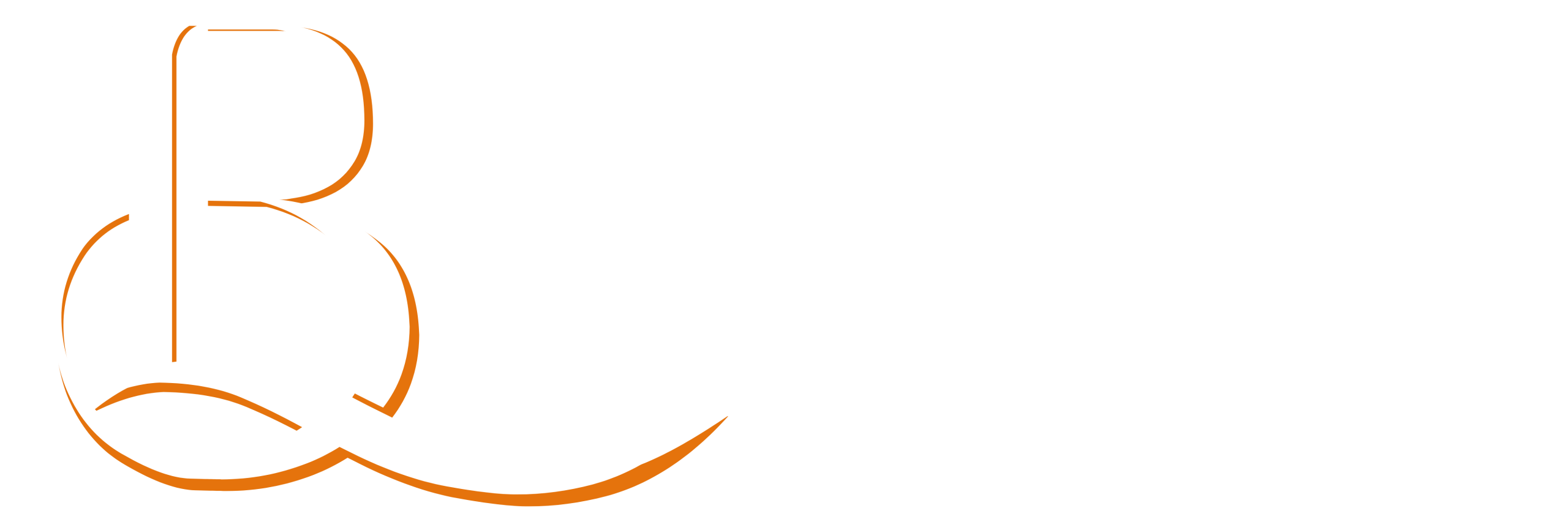 linbaz logo (2)